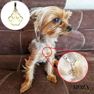 Ďalší spokojný zákazník 🐶